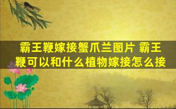 霸王鞭嫁接蟹爪兰图片 霸王鞭可以和什么植物嫁接怎么接